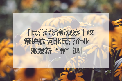 民营经济新观察｜政策护航 河北民营企业激发新“冀”遇